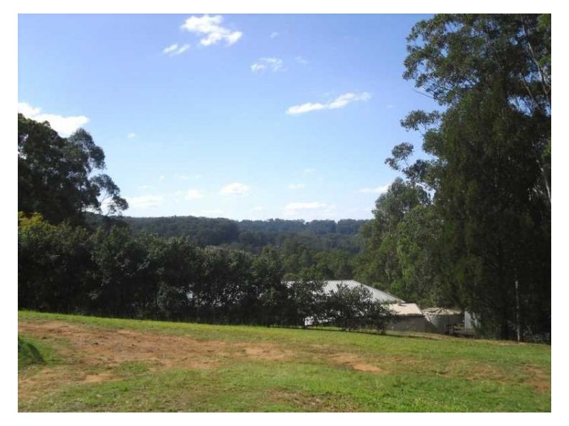 431 Blackall Range Road, West Woombye QLD 4559