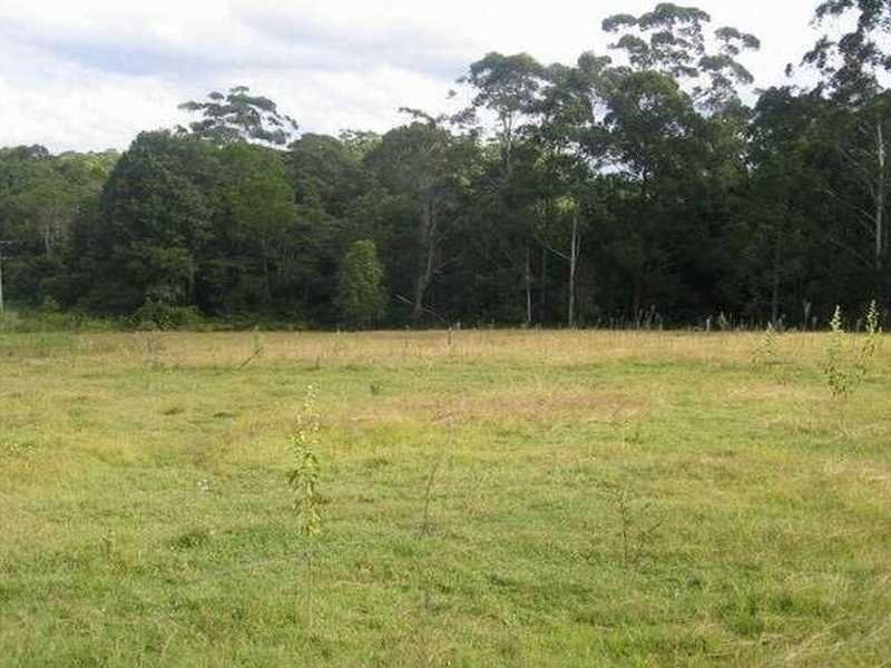 56 Preston Road, Diddillibah QLD 4559