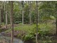 107 Jacksons Road, West Woombye QLD 4559