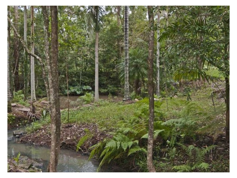 107 Jacksons Road, West Woombye QLD 4559