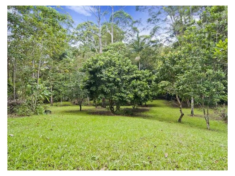 107 Jacksons Road, West Woombye QLD 4559