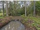 107 Jacksons Road, West Woombye QLD 4559