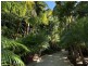 10 Mountridge Close, Kiels Mountain QLD 4559