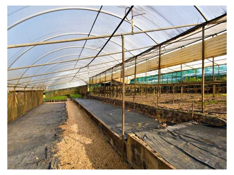 171 Burnside Road, Burnside QLD 4560