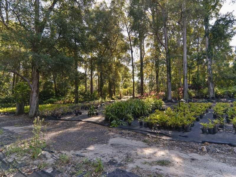 13 Eudlo Flats Road, Diddillibah QLD 4559