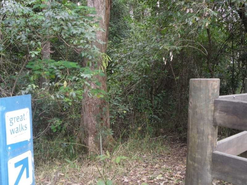 211 Delicia Road, Mapleton QLD 4560