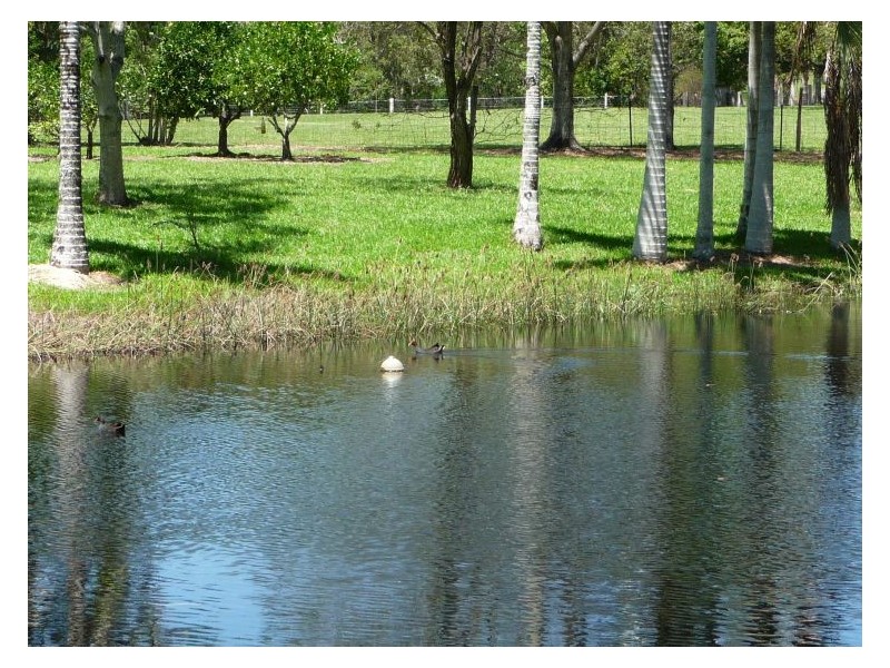 41 Jacksons Road, Woombye QLD 4559