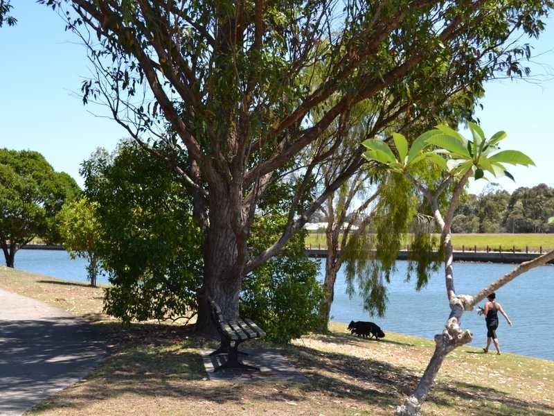 Villa 97/8 Longwood Street, Minyama QLD 4575