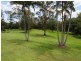 51 River Gum Drive, Diddillibah QLD 4559