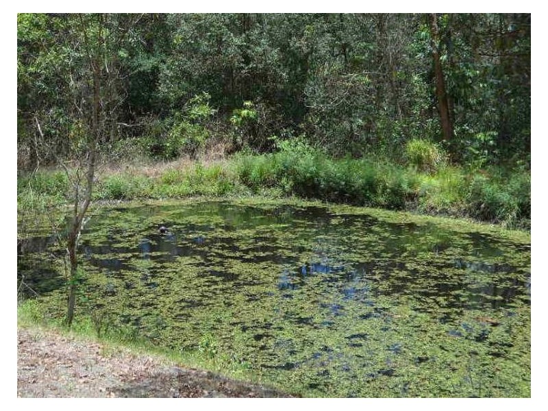 604 Blackall Range, Woombye QLD 4559