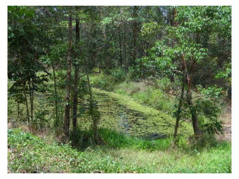 604 Blackall Range, Woombye QLD 4559