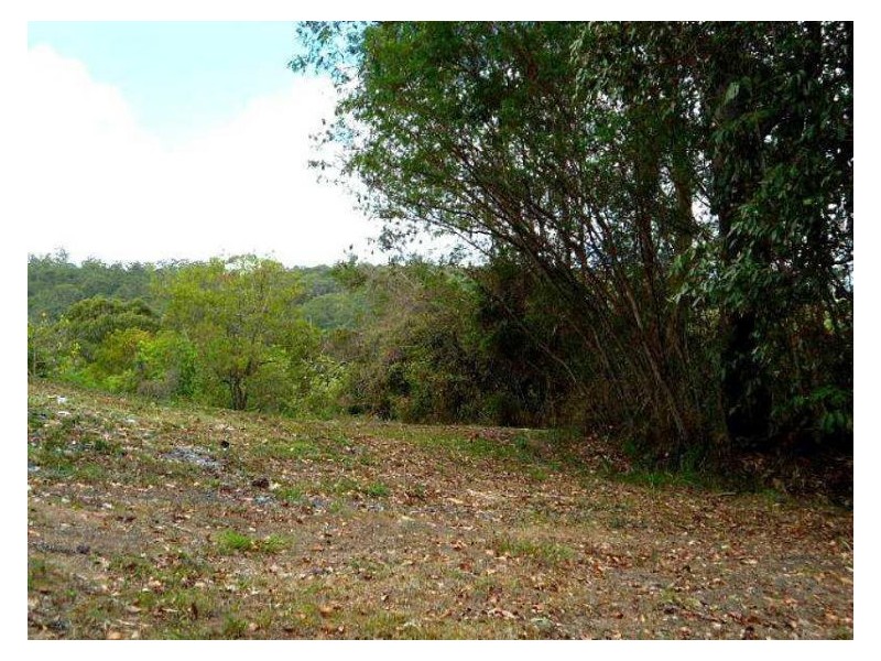 604 Blackall Range, Woombye QLD 4559