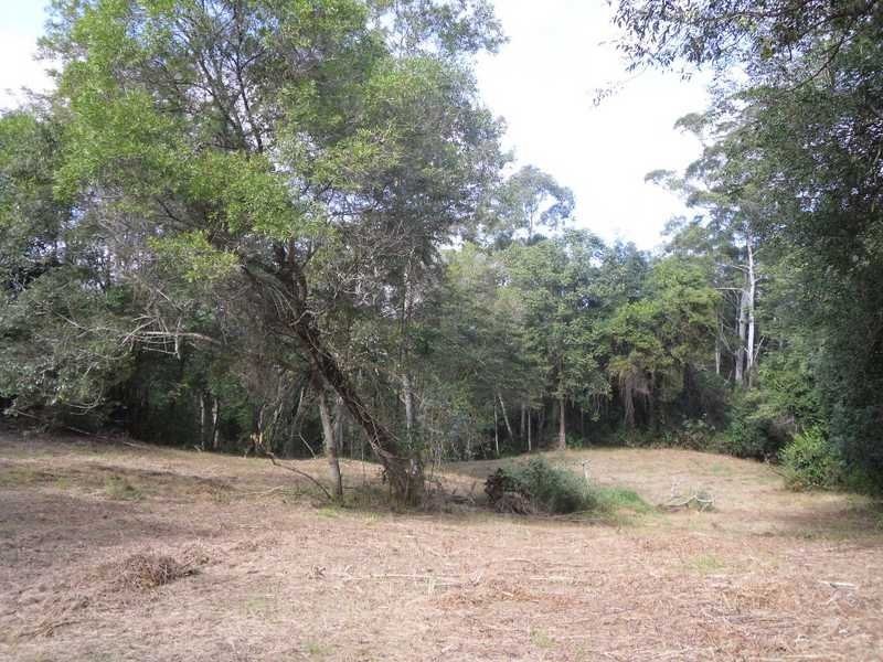 235 Paynters Creek Road, Rosemount QLD 4560
