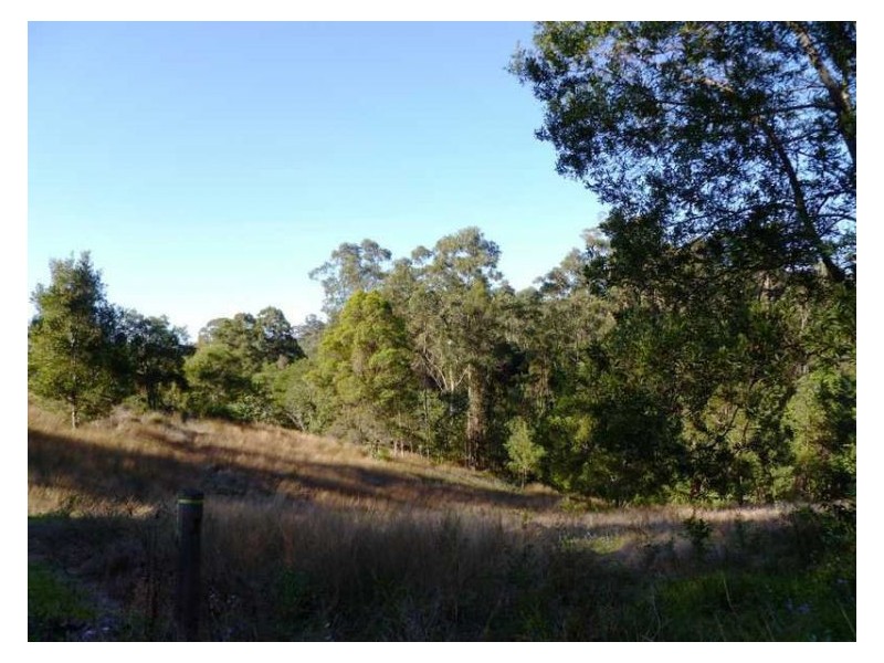 367 Blackall Range Road, West Woombye QLD 4559