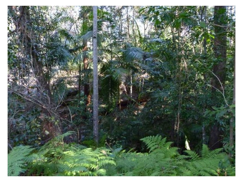 367 Blackall Range Road, West Woombye QLD 4559
