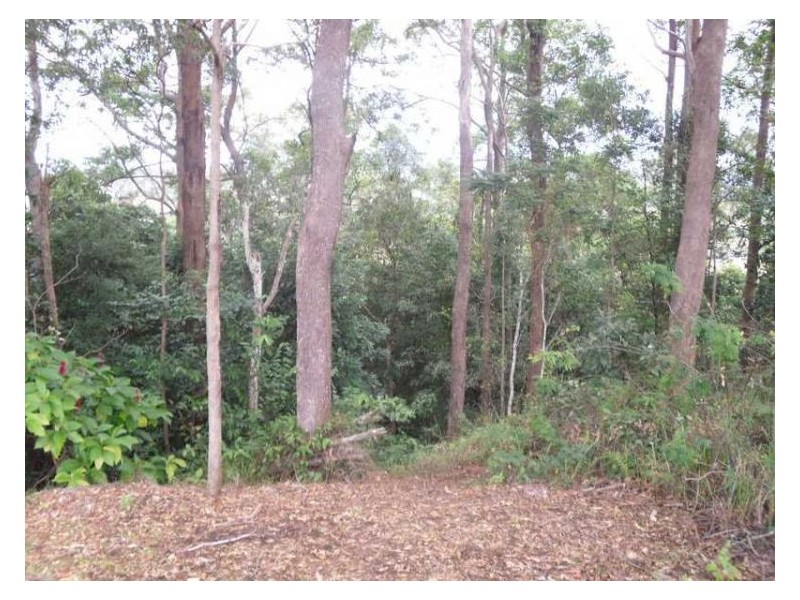 22 Rosemount Lane, Rosemount QLD 4560