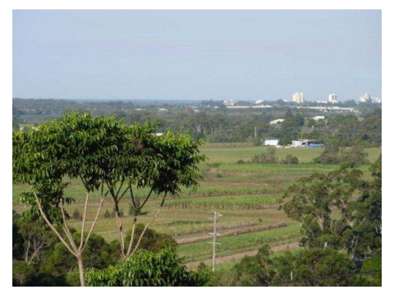 558 Petrie Creek Road, Rosemount QLD 4560
