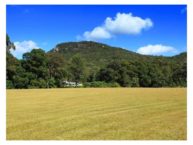 Lot 8 Golden Valley Place, Valdora QLD 4561