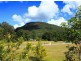 Lot 8 Golden Valley Place, Valdora QLD 4561