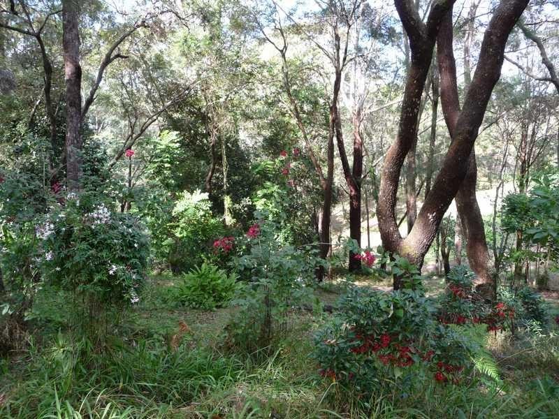 130 Upper Rosemount Road, Rosemount QLD 4560