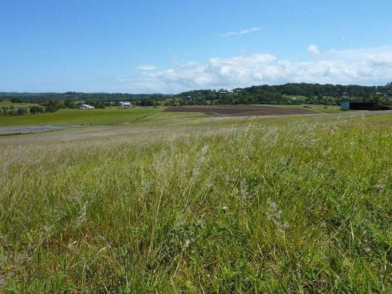 17 Bennett Road, Bli Bli QLD 4560