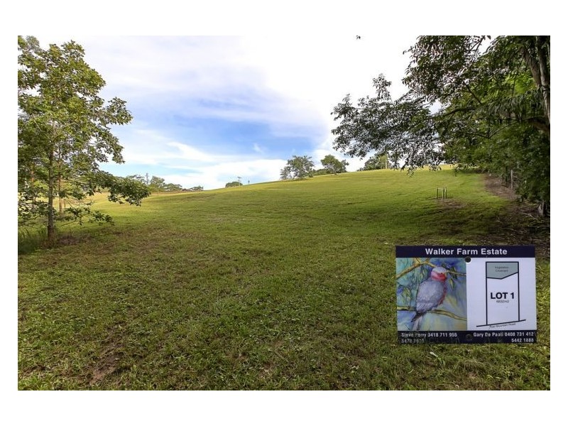 435 Kiel Mountain Road, Diddillibah QLD 4559