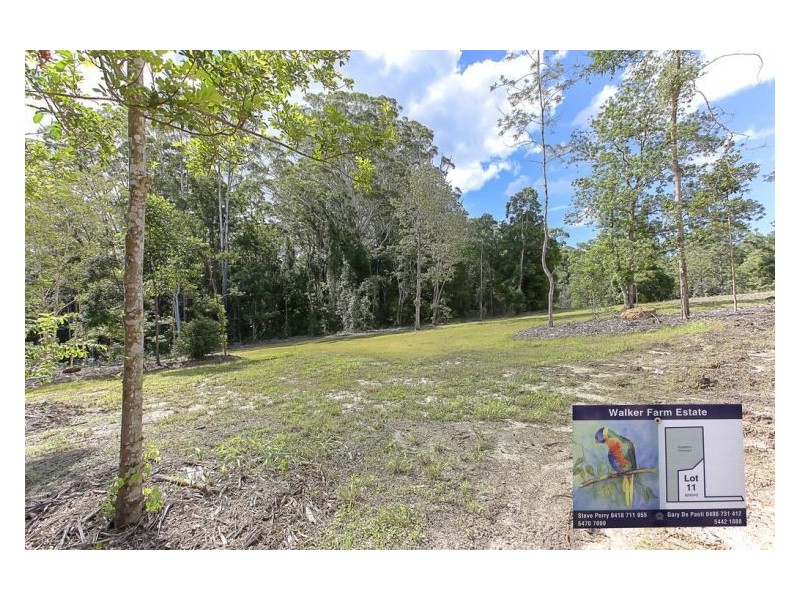 435 Kiel Mountain Road, Diddillibah QLD 4559