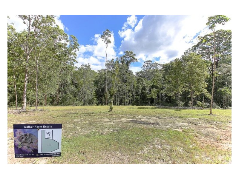 435 Kiel Mountain Road, Diddillibah QLD 4559