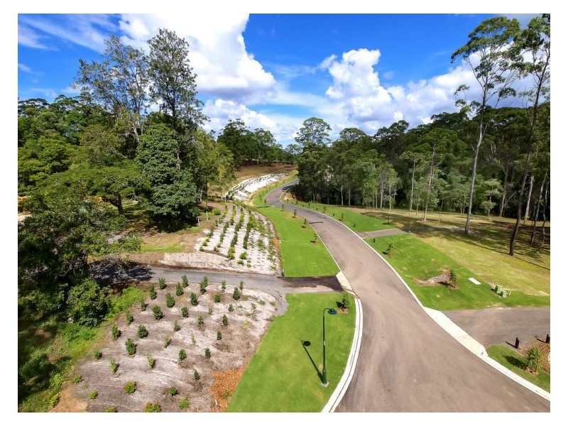 435 Kiel Mountain Road, Diddillibah QLD 4559