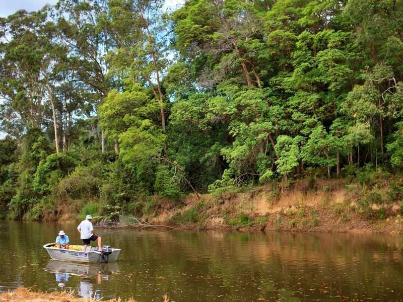 56 Collins Road, Yandina QLD 4561