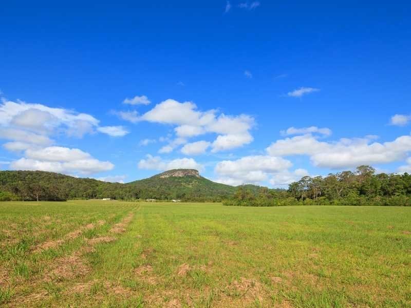 56 Collins Road, Yandina QLD 4561