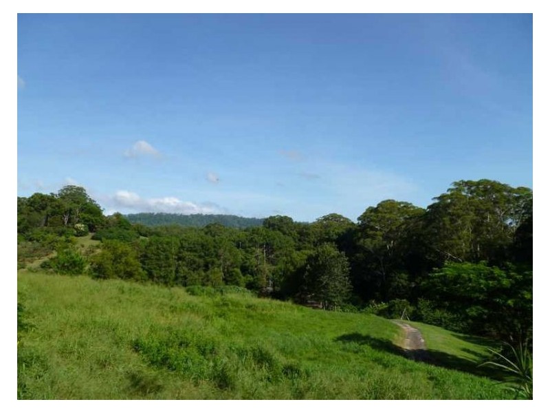 204 Coes Creek Road, Coes Creek QLD 4560