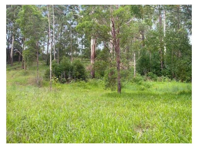 139 Perwillowen Road, Nambour QLD 4560