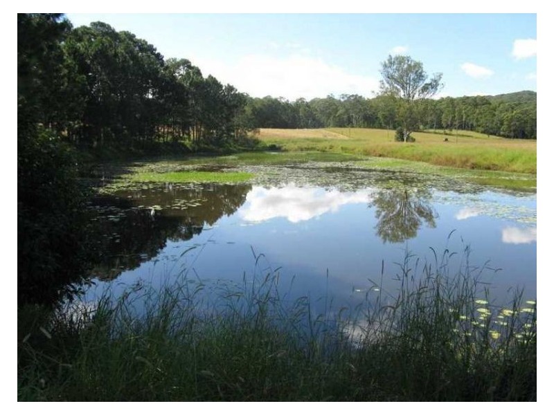 1 Haflinger Road, North Arm QLD 4561