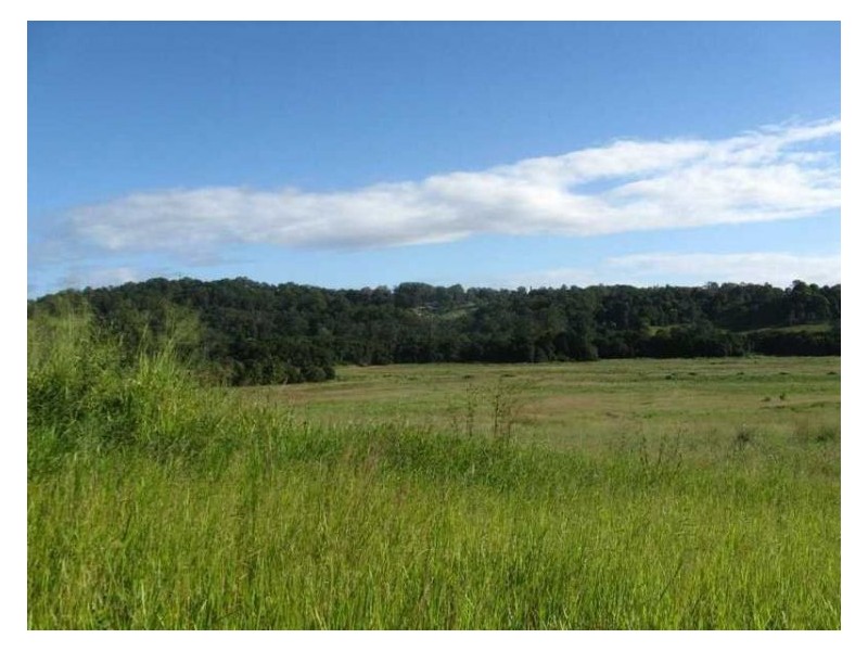 1 Haflinger Road, North Arm QLD 4561