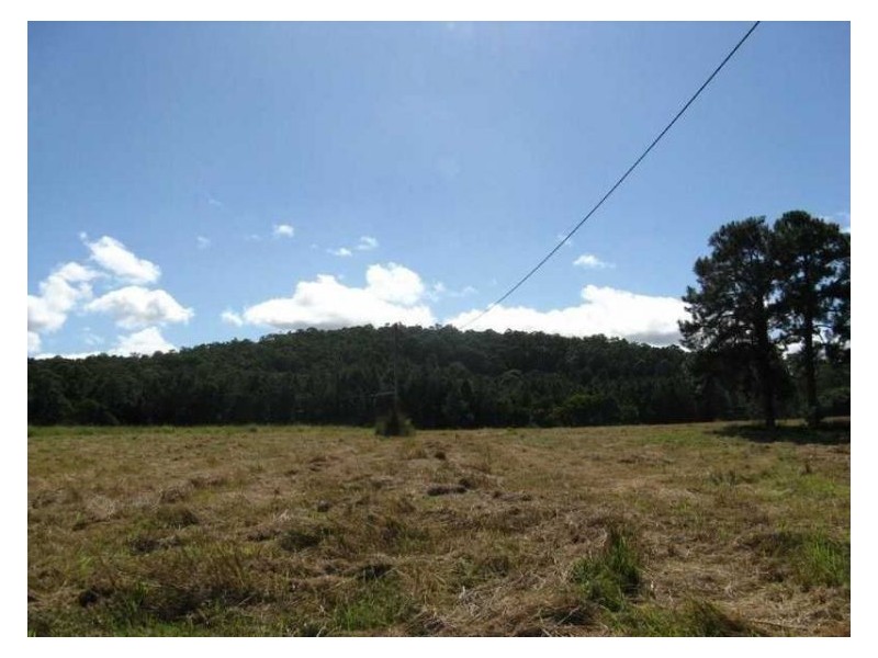 1 Haflinger Road, North Arm QLD 4561