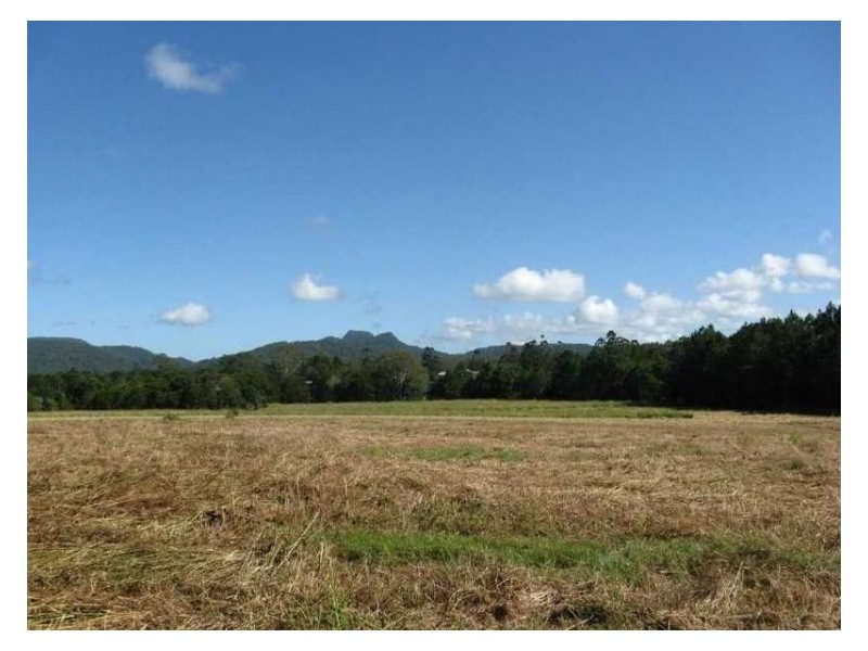 1 Haflinger Road, North Arm QLD 4561