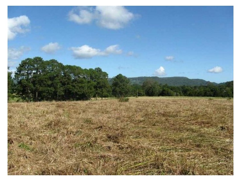 1 Haflinger Road, North Arm QLD 4561