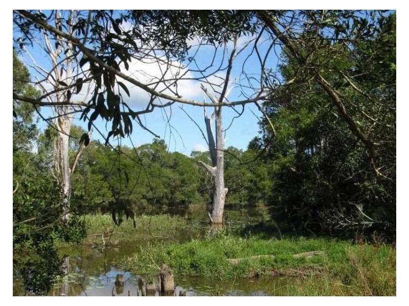 1 Haflinger Road, North Arm QLD 4561