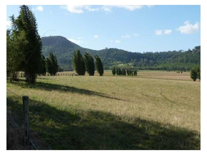 203 Yandina Bli Bli Road, Maroochy River QLD 4561