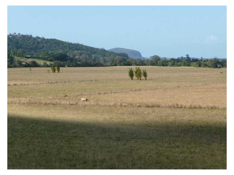 203 Yandina Bli Bli Road, Maroochy River QLD 4561