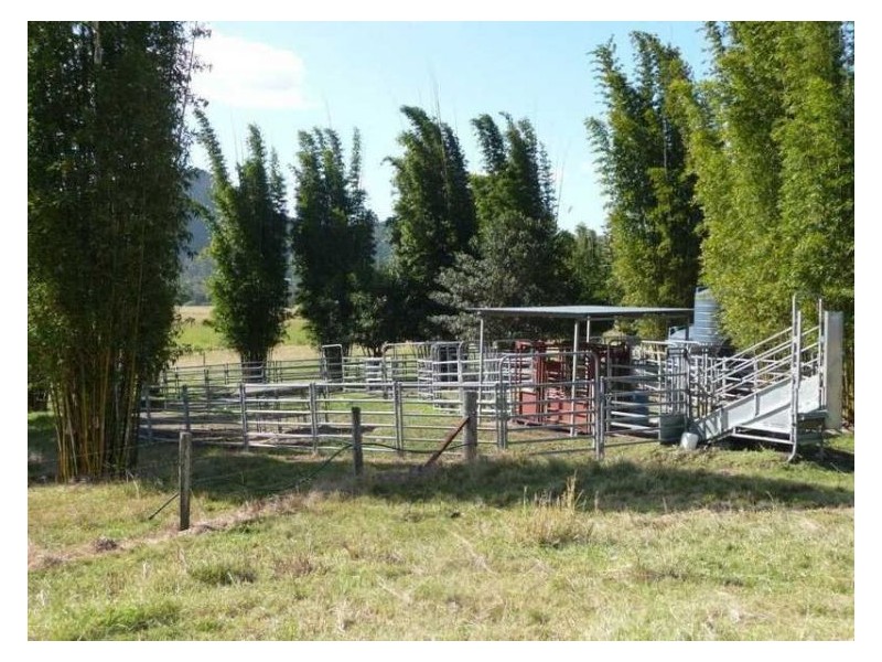 203 Yandina Bli Bli Road, Maroochy River QLD 4561