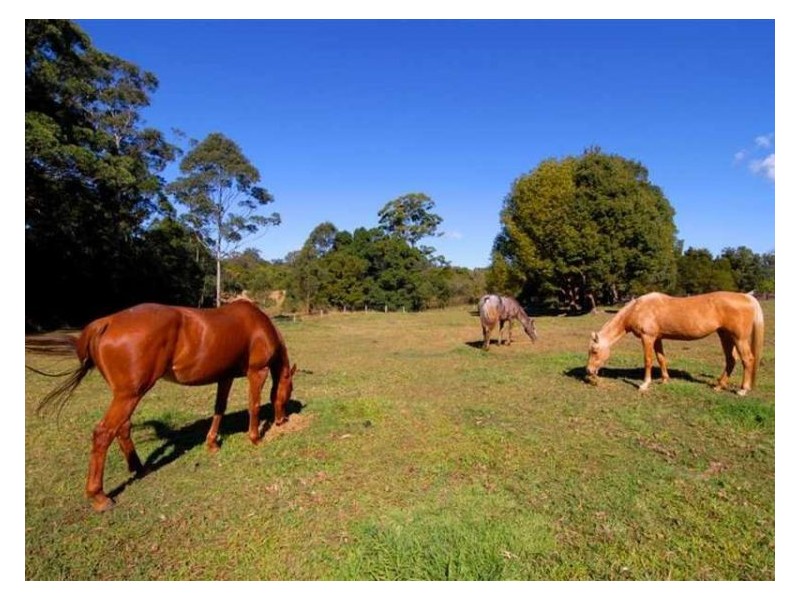 289-319 Dulong Road, Dulong QLD 4560