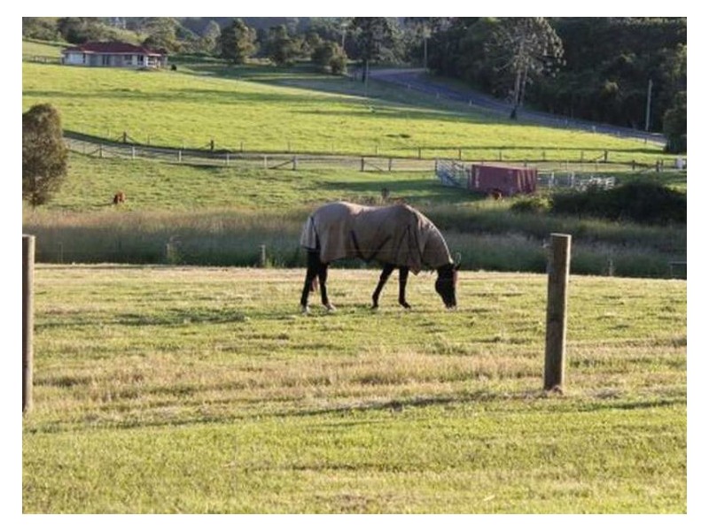 289-319 Dulong Road, Dulong QLD 4560