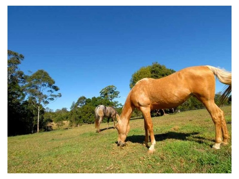 289-319 Dulong Road, Dulong QLD 4560