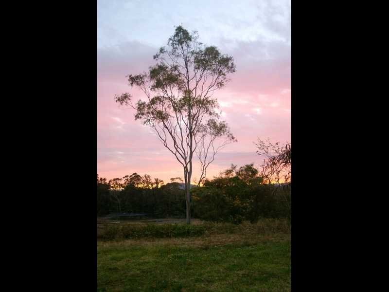 134 Fairhill Road, Ninderry QLD 4561