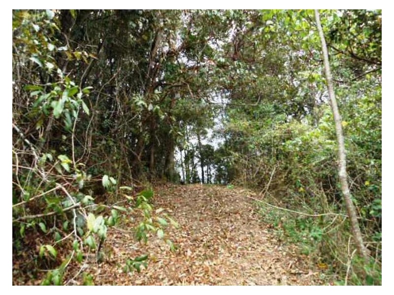 268 Gold Creek Road, North Arm QLD 4561