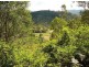 129 Tamlyn Road, Kenilworth QLD 4574