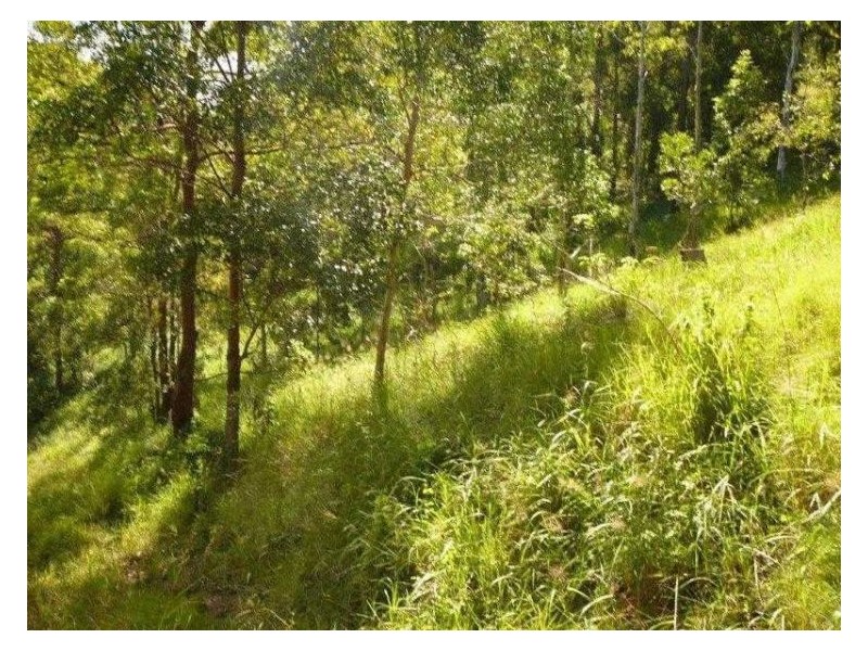 129 Tamlyn Road, Kenilworth QLD 4574
