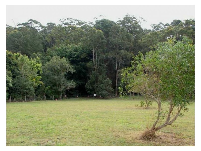 7 Fernhill Place, Diddillibah QLD 4559